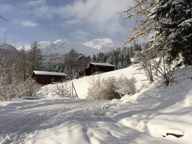 2015 Lenzerheide/Arosa - Churwalden: Verschneite Lichtung mit Hütte zwischen Lärchen