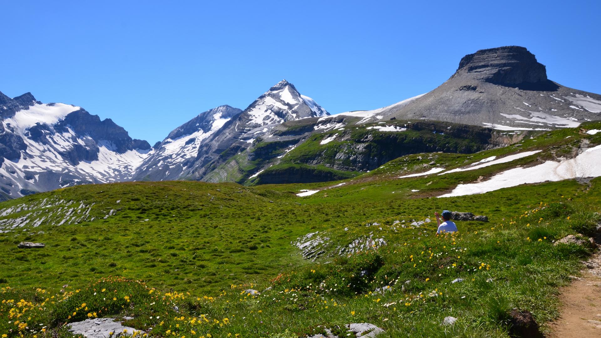 Gruene Alpwiese mit letzten Schneefeldern, darueber schroffe Felsgipfel