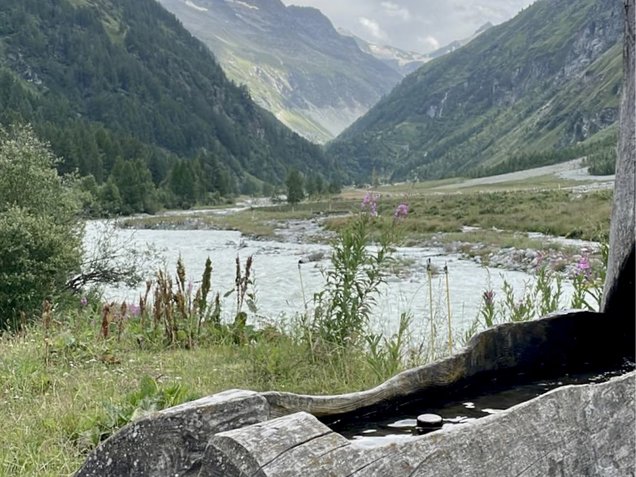 Weites gruenes Hochtal mit einem verzweigten Gletscherbach